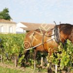 Passage de l'outil intercep au chateau Pibran
