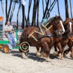 Eric Seuve mene ses trois traits bretons au hersage de la carrière du salon de l'agriculture aquitaine