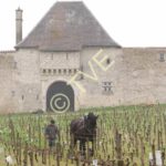 Labour de printemps face à la façade principale du château d'Eck